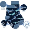 image:imageStephen Joseph Baby Crew SocksNavy Shark