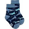 Navy Shark
