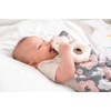 image:imageStephen Joseph Ring Rattle Dino